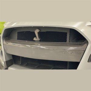 Ford Shelby GT500 Bumper Insert - Front - Ford Racing - Dry Carbon Fiber Clear-Coated - Carbon Fiber - `20-`21